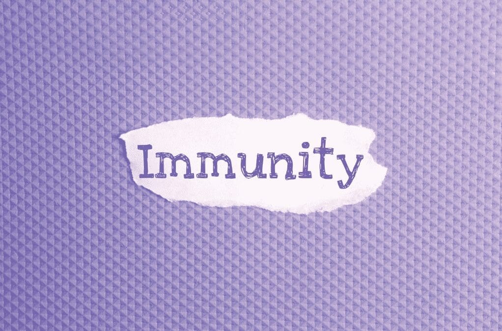 boost immunity, best foods to boost immunity, foods to boost immunity, immune, immune system