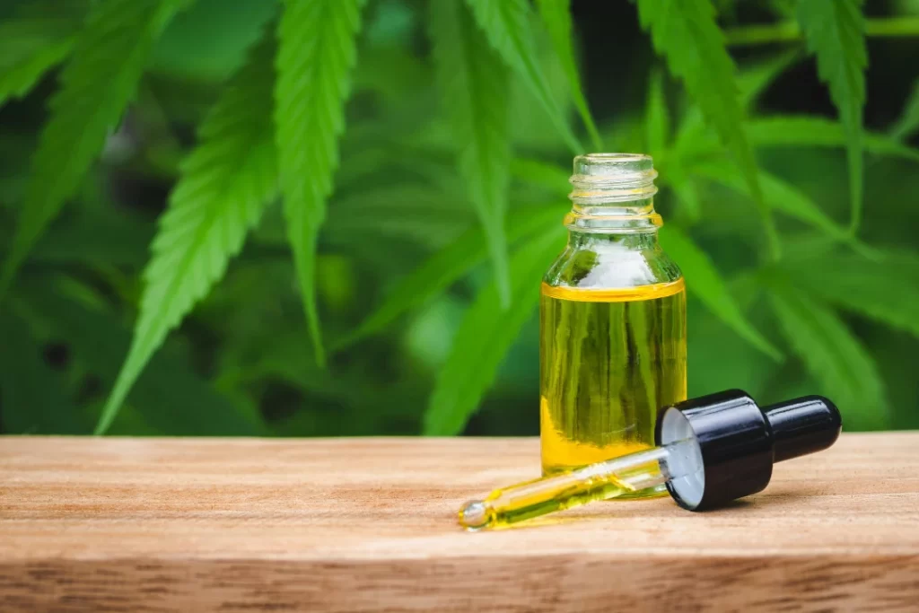 CBD oil with CBD plant in background