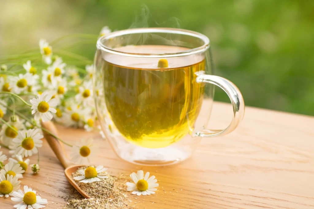 Chamomile herbal tea with flower buds nearby on wooden table with textile and chamomile bouquet, closeup, copy space, healthy herbal drinks and natural healer concept