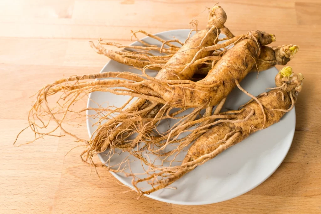 Fresh organic red ginseng in plate, beneficial for human health, also used nootropic.