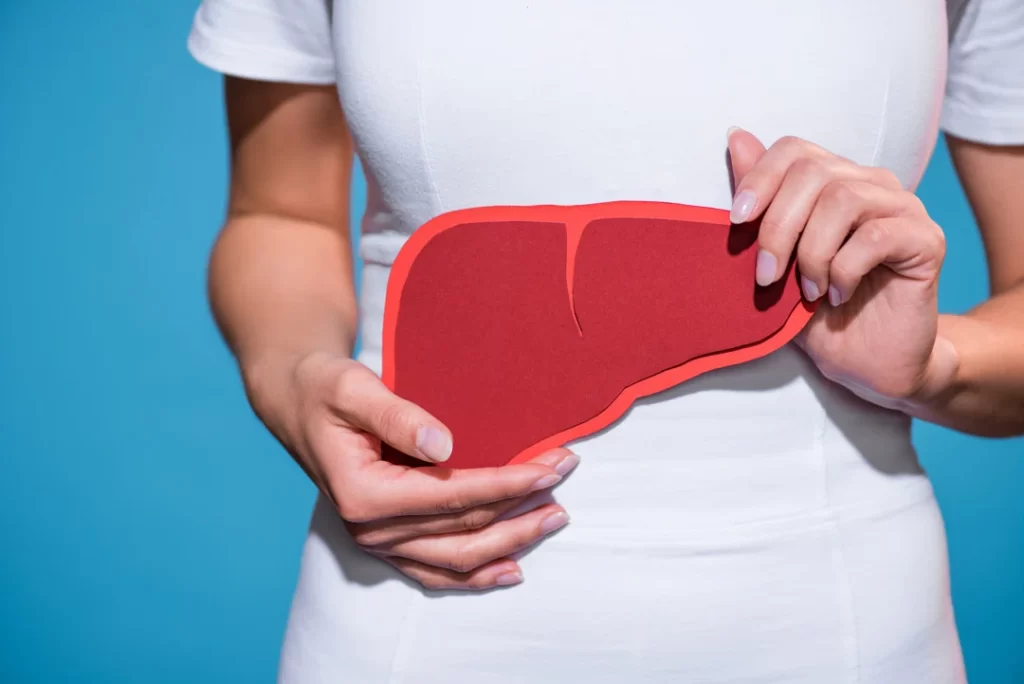 cropped shot of a woman holding paper crafted liver.