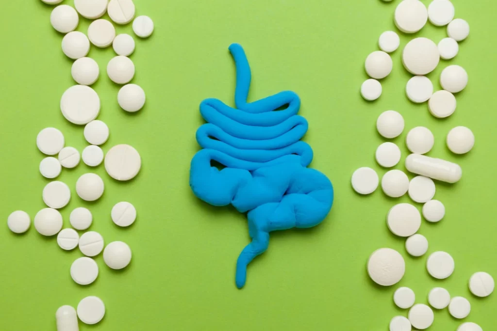 Stomach model with probiotics supplements.