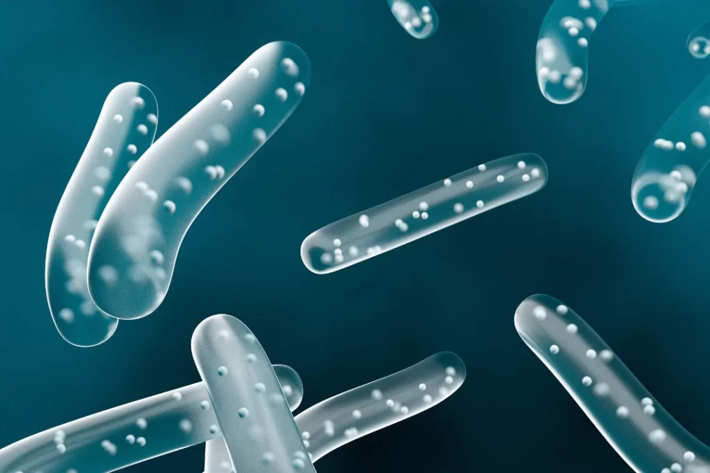 Probiotics enzyme for digestive system.