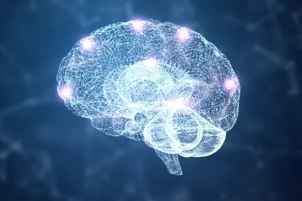Enhanced human brain