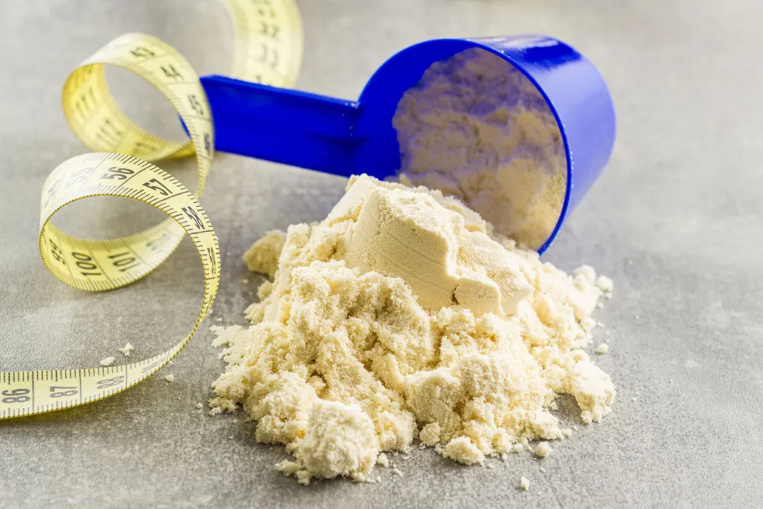 Best lactose free protein powder