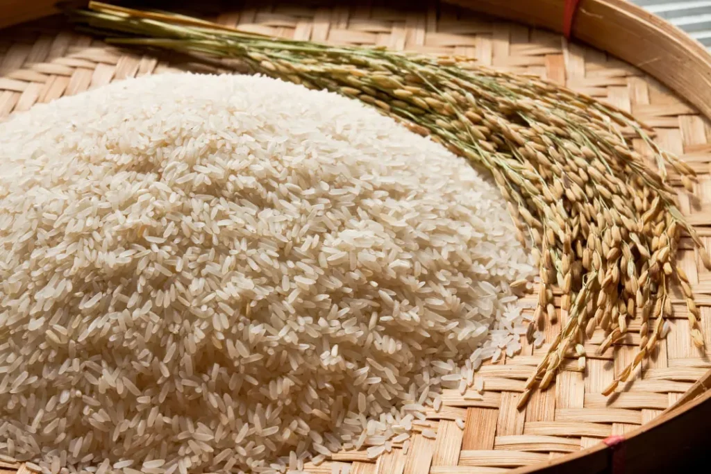 Rice.