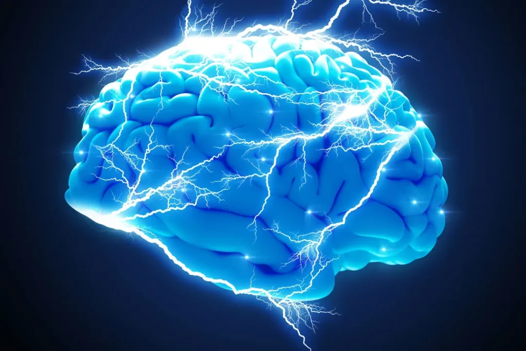 computer artwork of human brain