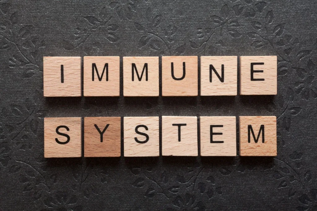 Immune system. 