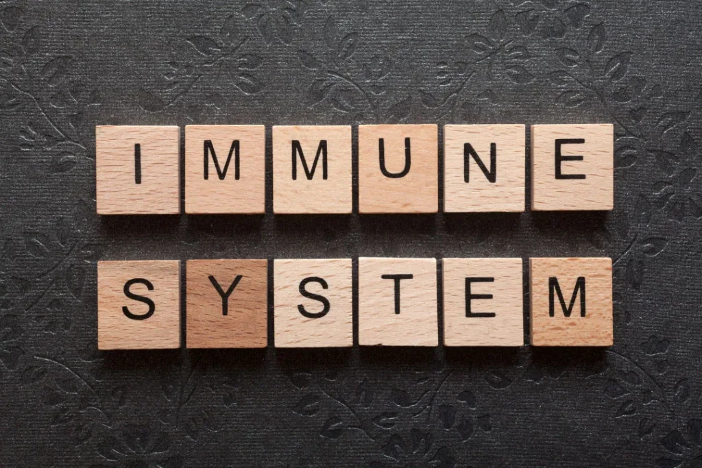 Immune system.