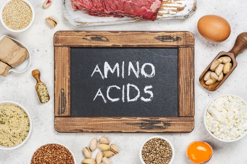 Amino acid Sorces.