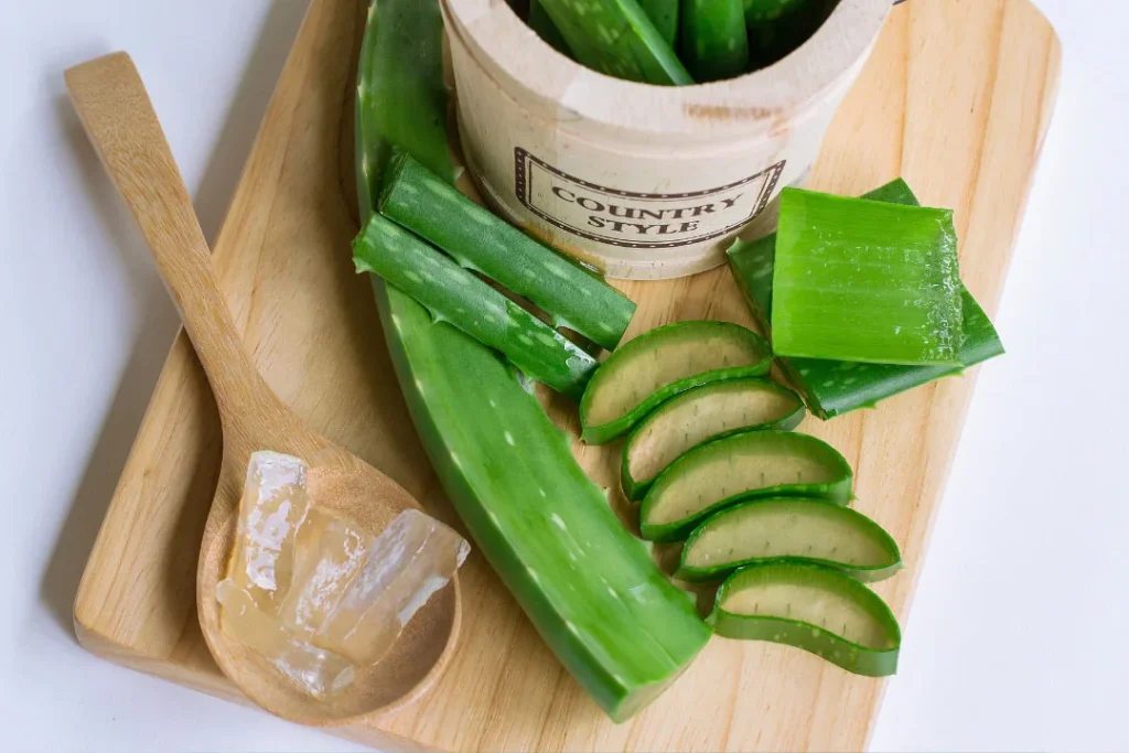 Fresh aloe-vera.