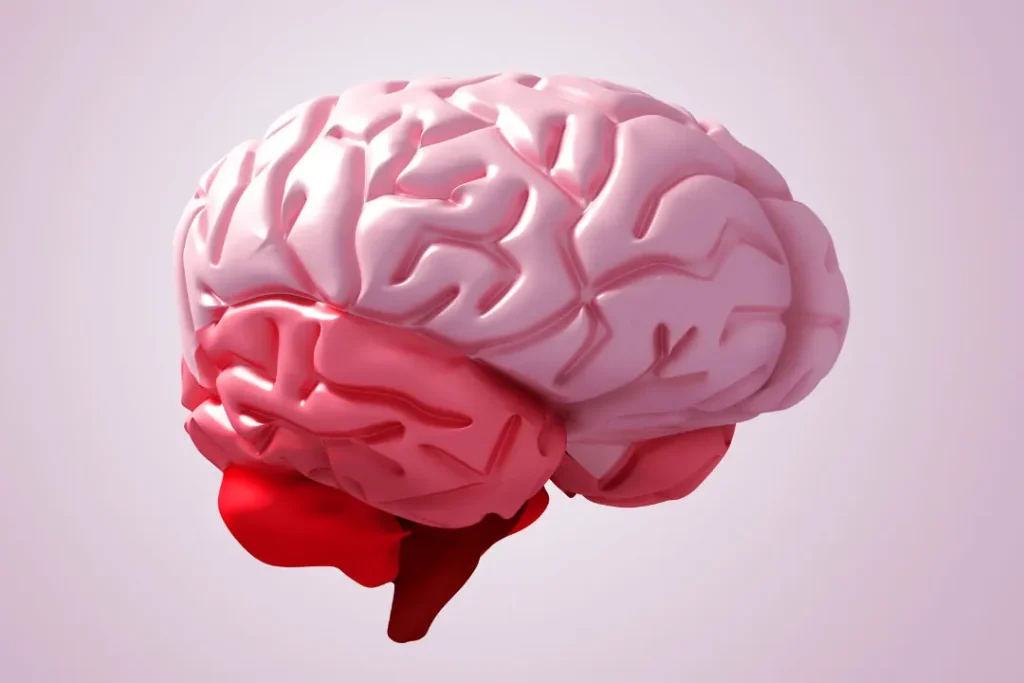 computer artwork of human brain