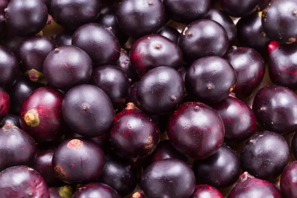 close up of Acai berry
