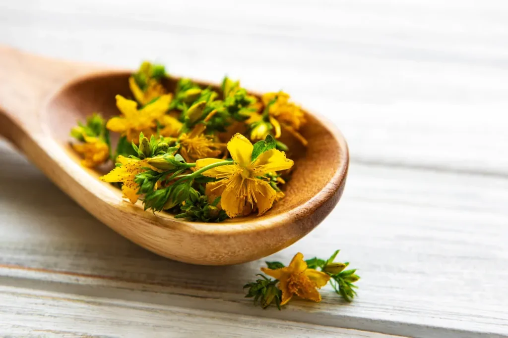 St. John's wort is a beneficial herb. 