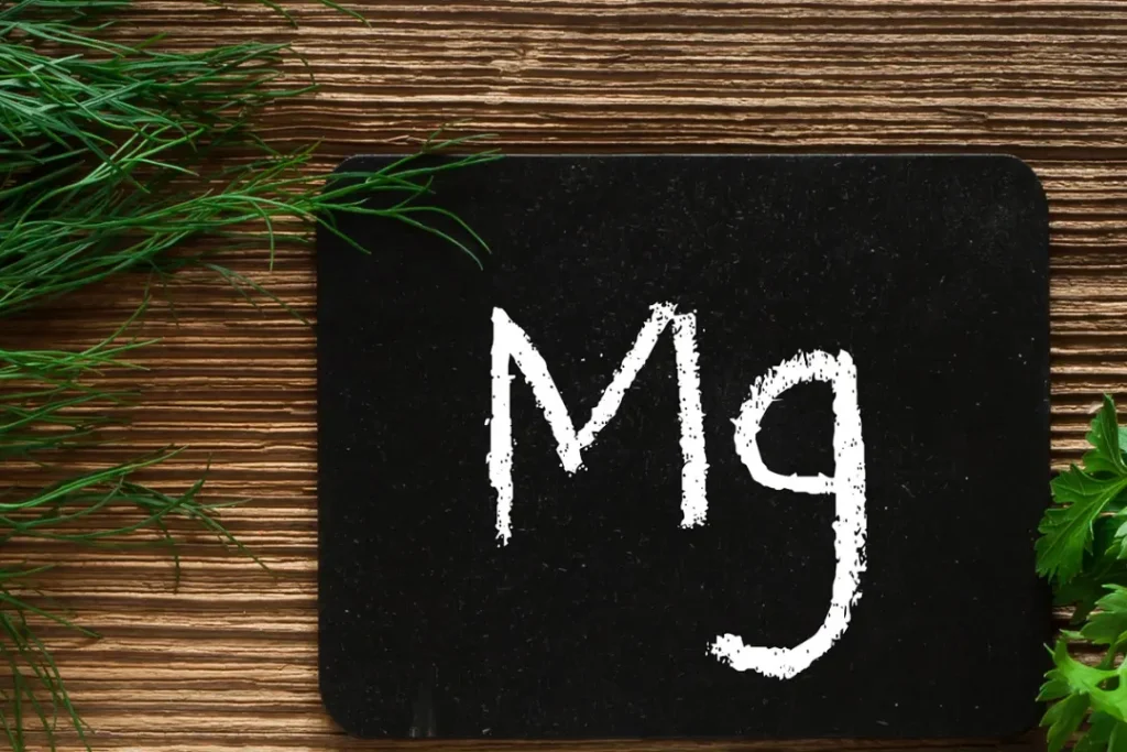 Mg is a symbol of magnesium. 