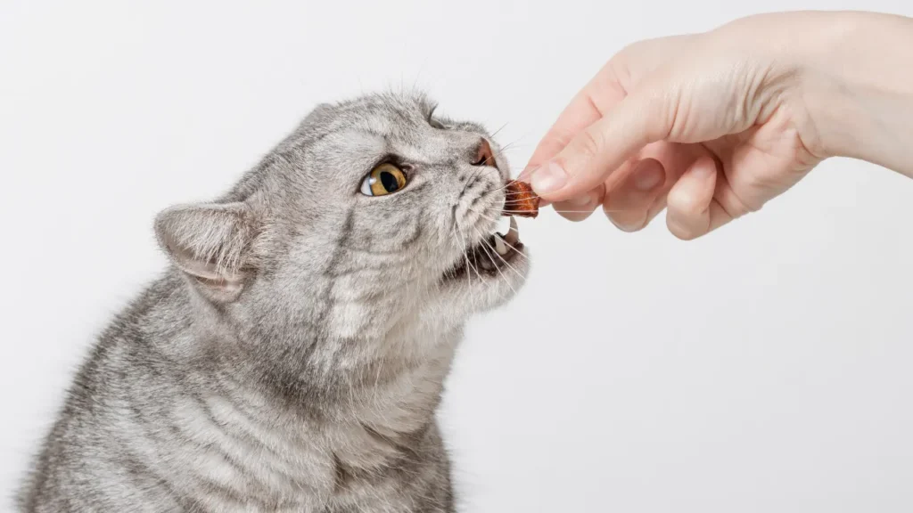 Cat eating dr elsey's cat food
