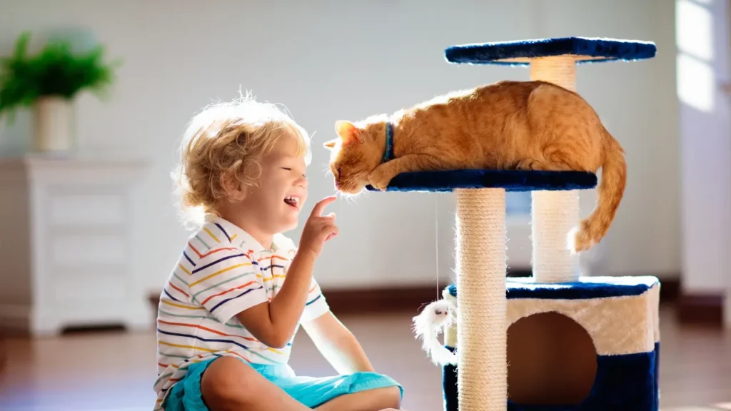 kid playing with his cat
