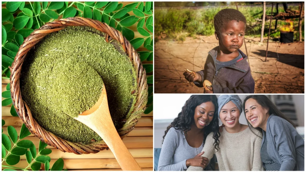 Moringa Miraculous Treatment for Hunger, Health Conditions, and Certain Deficiencies