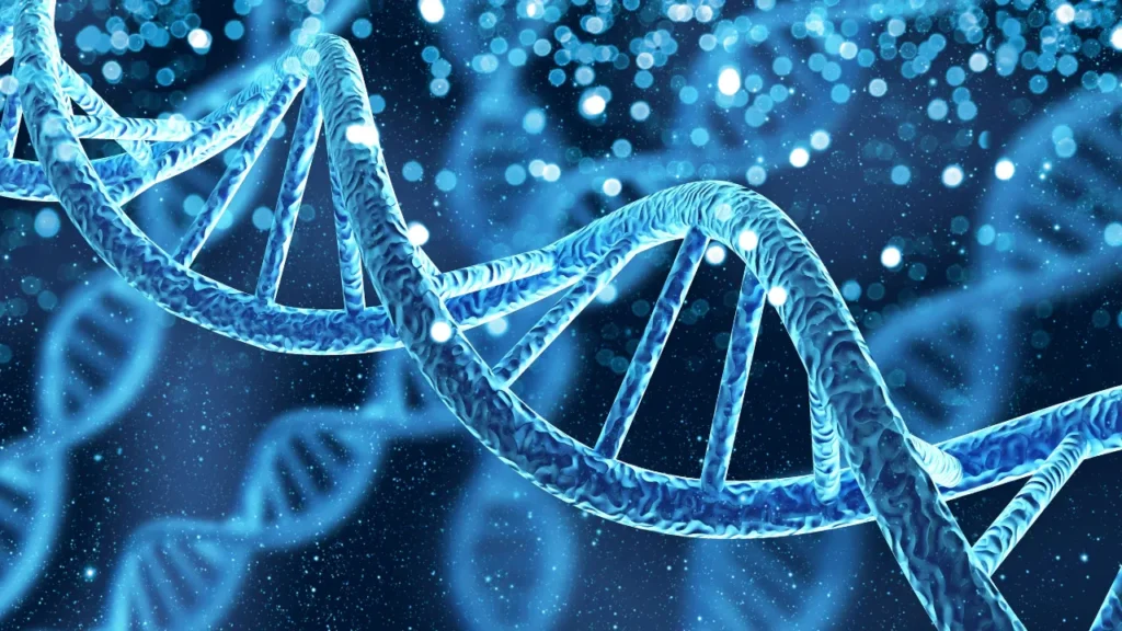 Moringa Powder for DNA Health